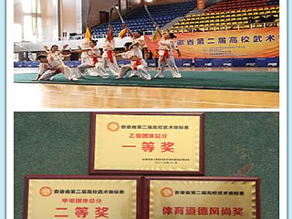 必威西汉姆联学生在安徽省第二届高校武术锦标赛中荣获佳绩
