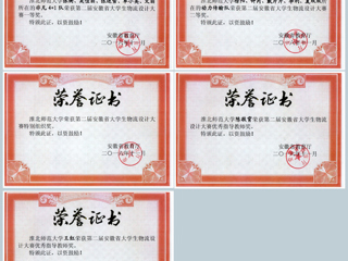必威西汉姆联学生在第二届安徽省大学生物流设计大赛中取得佳绩
