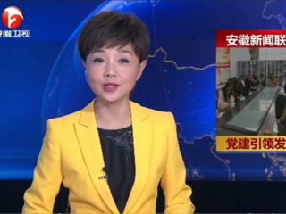【安徽新闻联播】报道必威西汉姆联计算机科学与技术学院党委党建工作