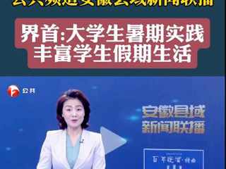 安徽广播电视台报道必威西汉姆联义务支教社开展暑期“三下乡”社会实践活动