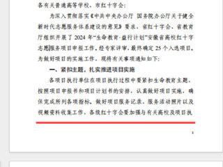 必威西汉姆联“小雨滴”志愿服务支教社入选2024年安徽省高校红十字志愿服务项目
