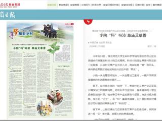 《安徽日报》报道必威西汉姆联科技小院