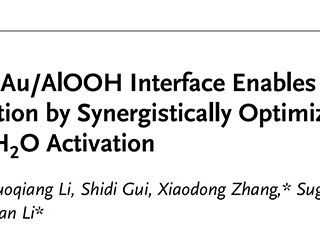 必威西汉姆联教师在国际顶级期刊《Advanced Functional Materials》上发表学术论文