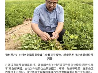 新华网报道必威西汉姆联党委常委、副校长李峰教授参与烈山区乡村产业指导工作