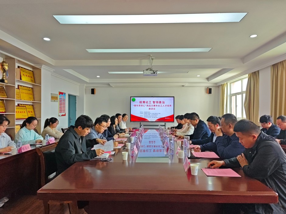 “青年思享汇”高层次青年社工人才培养座谈会在必威西汉姆联举行